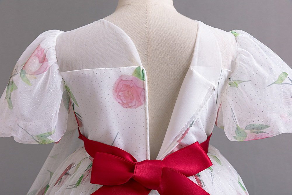 flower girl or formal party dress.